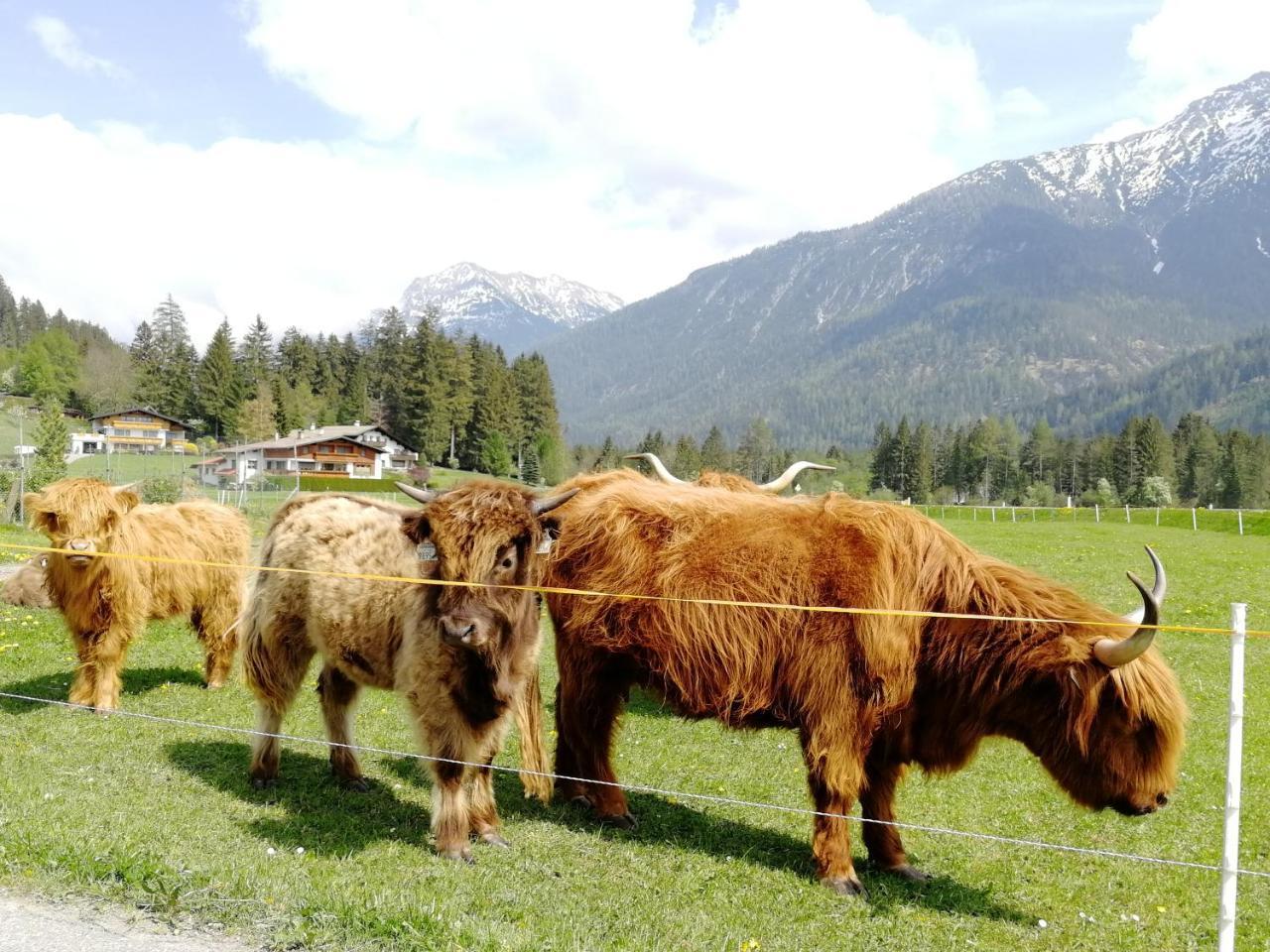 Camping Lechtal Vorderhornbach Esterno foto
